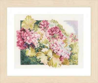 PN-0164073 Gerariums (Lanarte)